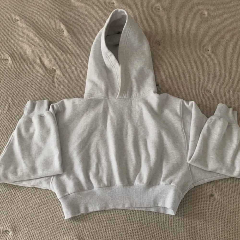 aritzia tna cozy fleece perfect shrunken hoodie